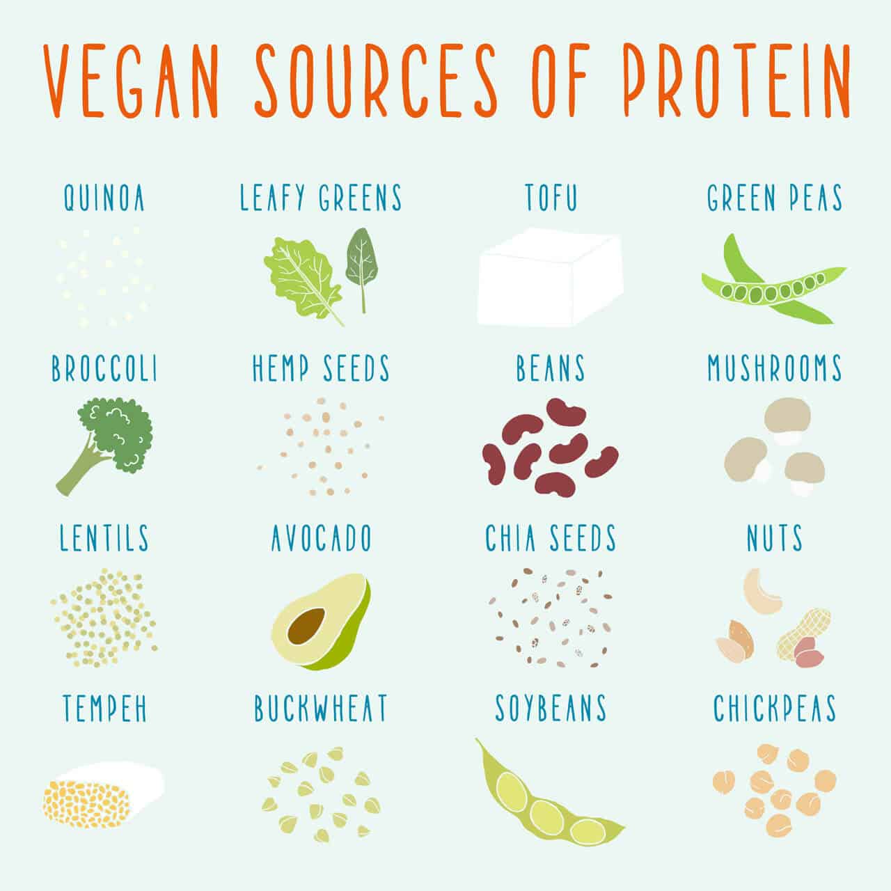 Vegane Proteinquellen Grafik