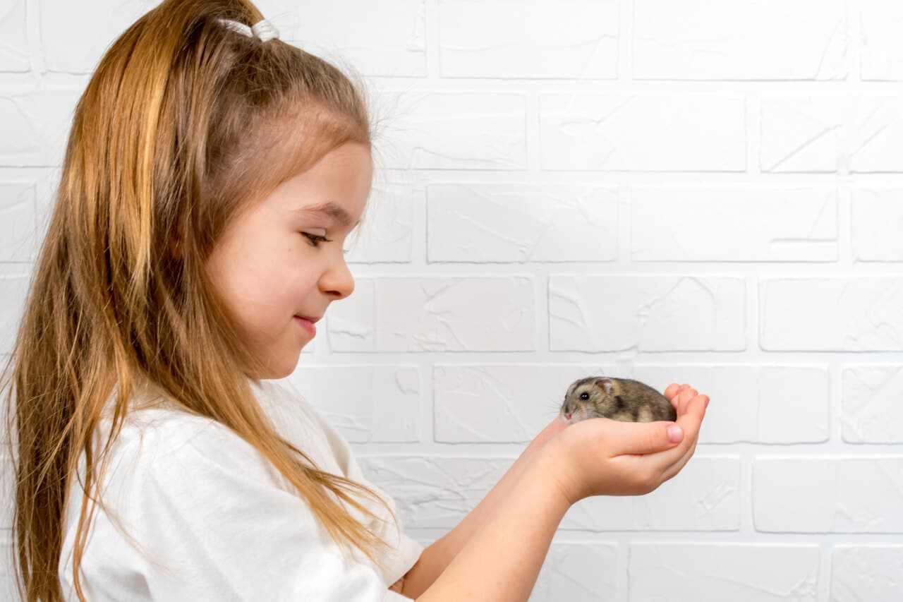 Kleines Mädchen mit dzungarischem Hamster
