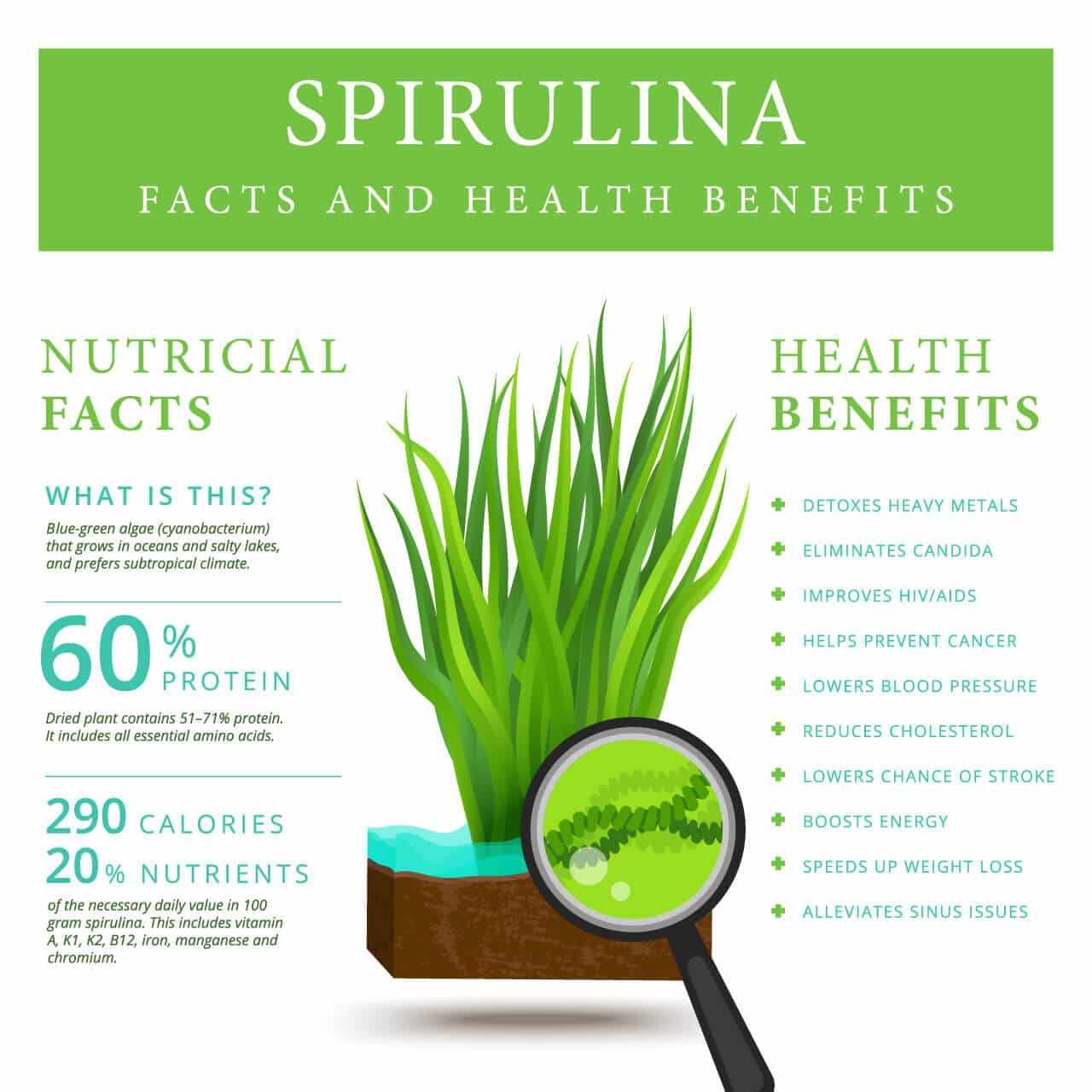 Nutrition and Health Facts Spirulina