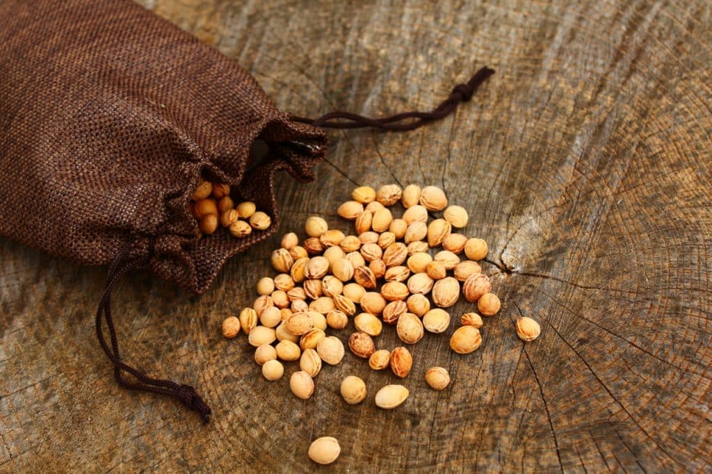 Kirschkernkissen im Backofen erwärmen? So gehts richtig! Kirschkernkissen im Backofen erwärmen