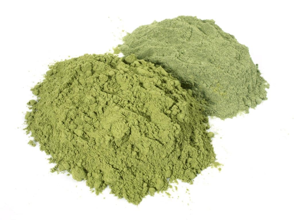 Weizengras und Gerstengras Pulver