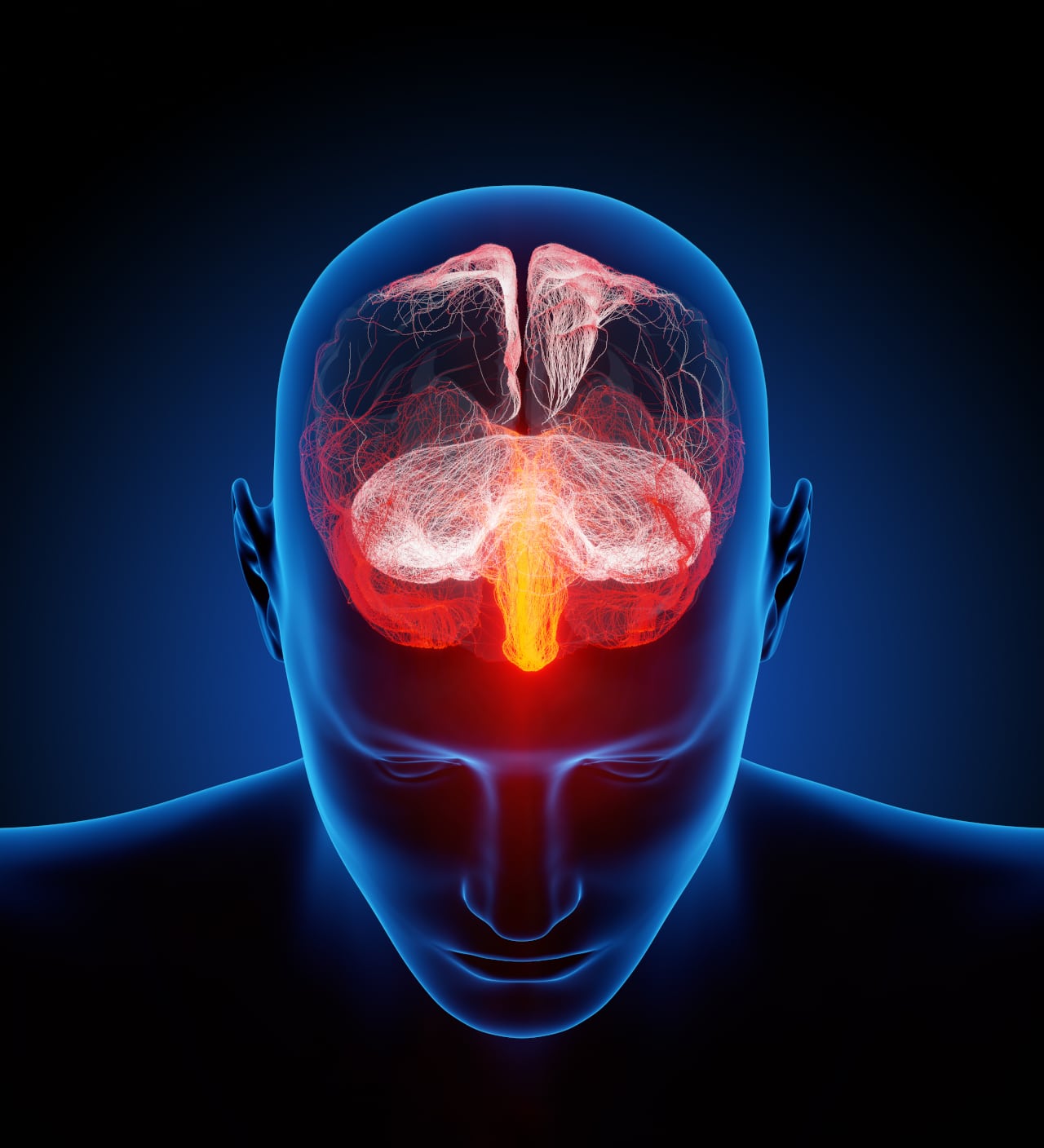 BCAA Wirkung auf Gehirn und Stoffwechsel