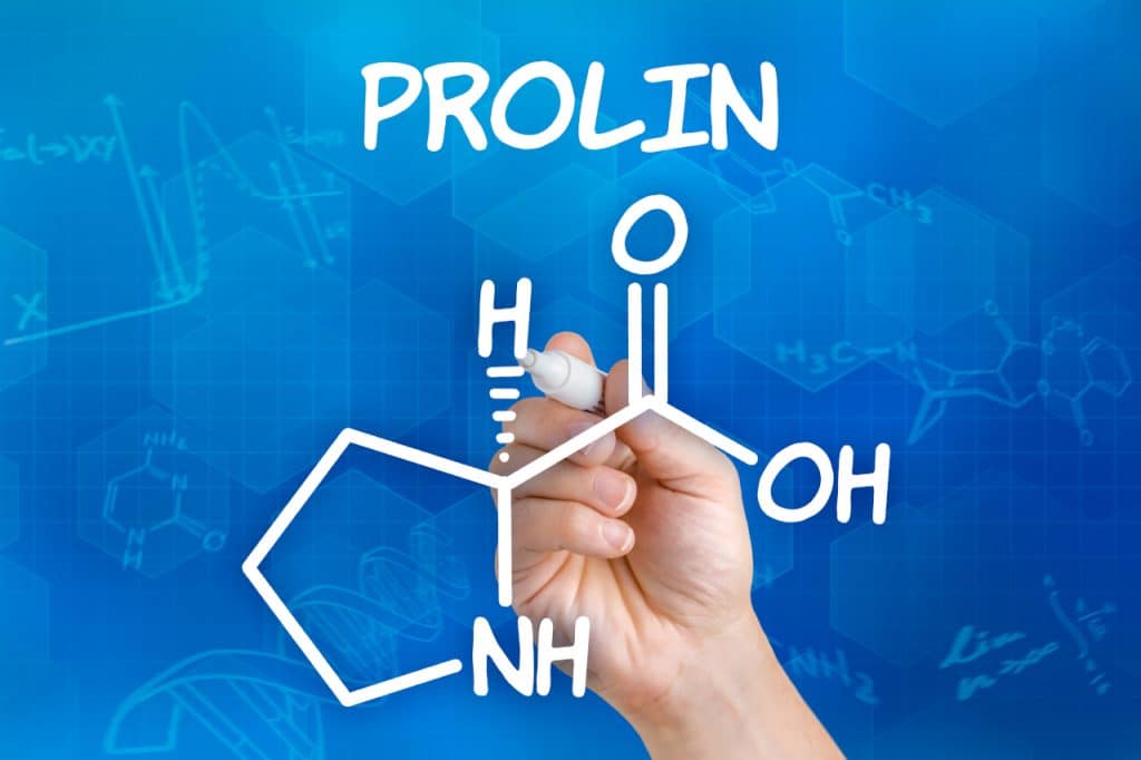 Für was ist Prolin gut