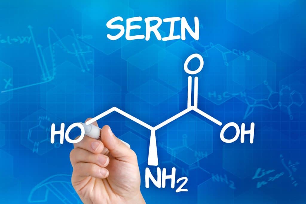 Serin (Aminosäure) – Einnahme und Wirkung von Serin Für was ist Serin gut