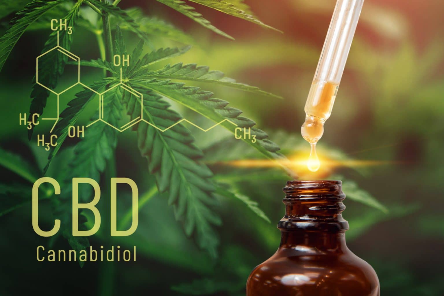 CBD Öl Hanföl